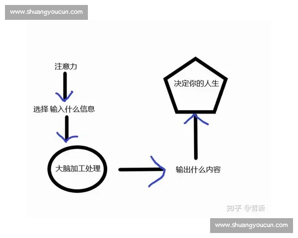 全面提升体能与精力的科学恢复方法与实践指南